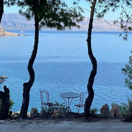 Pines & Sea Βίλα Σοφικό Εξωτερικό φωτογραφία