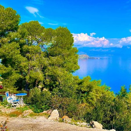 Pines & Sea Βίλα Σοφικό Εξωτερικό φωτογραφία